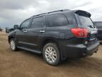 Brighton, CO에서 판매 중인 2010 Toyota Sequoia Platinum - Front End