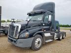 2016 Freightliner Cascadia 125 Semi Truck იყიდება Wilmer-ში, TX - Normal Wear