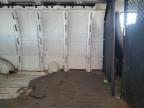2014 Chevrolet Express G2500    na sprzedaż w Homestead, FL - Minor Dent/Scratches