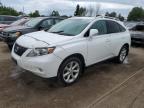 2010 LEXUS RX 350   for sale at Copart ON - TORONTO