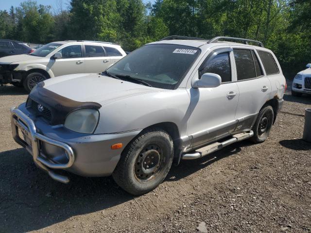 2004 HYUNDAI SANTA FE    à vendre chez Copart ON - COOKSTOWN