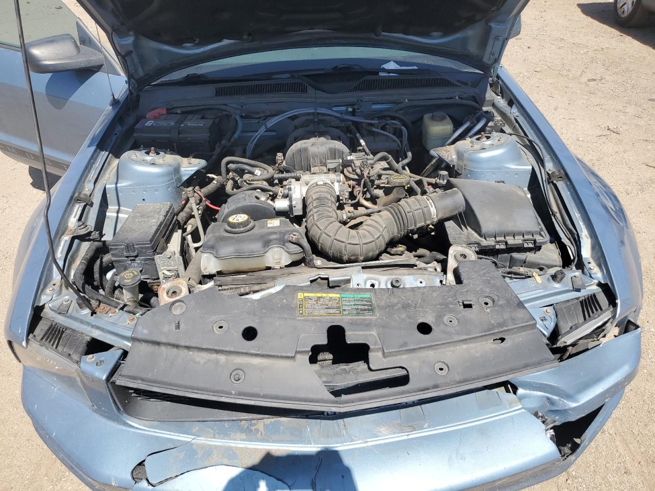 2005 Ford Mustang VIN: 1ZVHT80N255239657 Lot: 62947545
