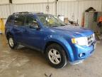 2011 Ford Escape Xlt zu verkaufen in Franklin, WI - Hail