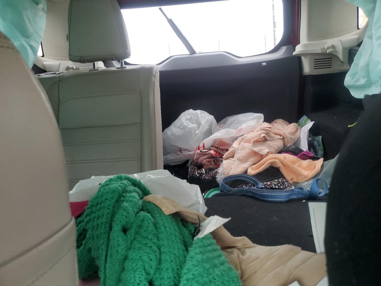 2019 Ford Ecosport Titanium VIN: MAJ6S3KL6KC309296 Lot: 59912825