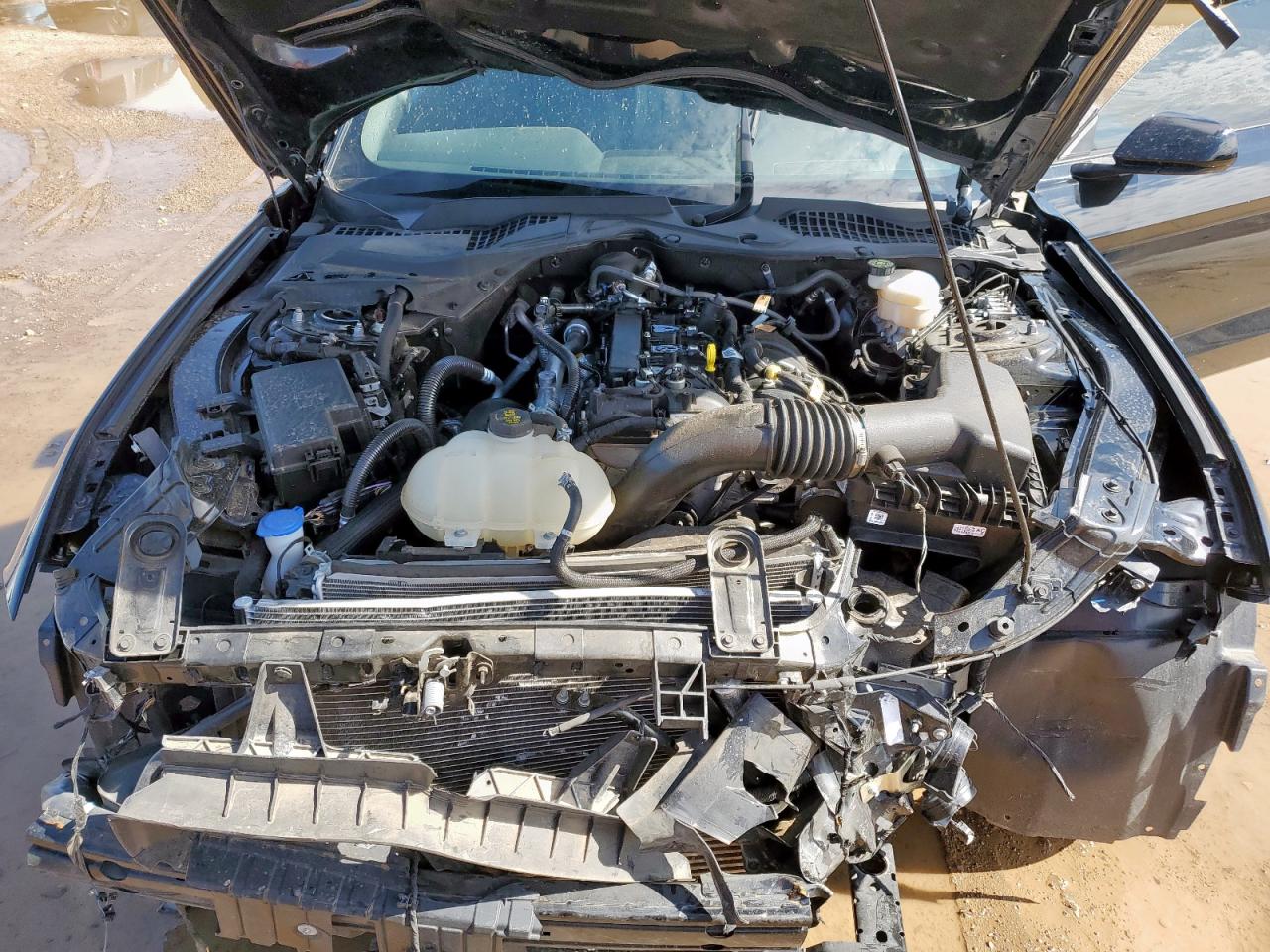 2022 Ford Mustang VIN: 1FA6P8TH8N5134034 Lot: 62865735