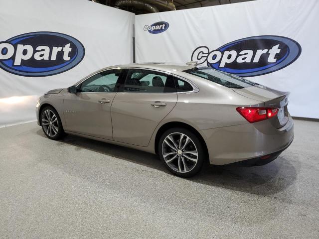  CHEVROLET MALIBU 2023 tan