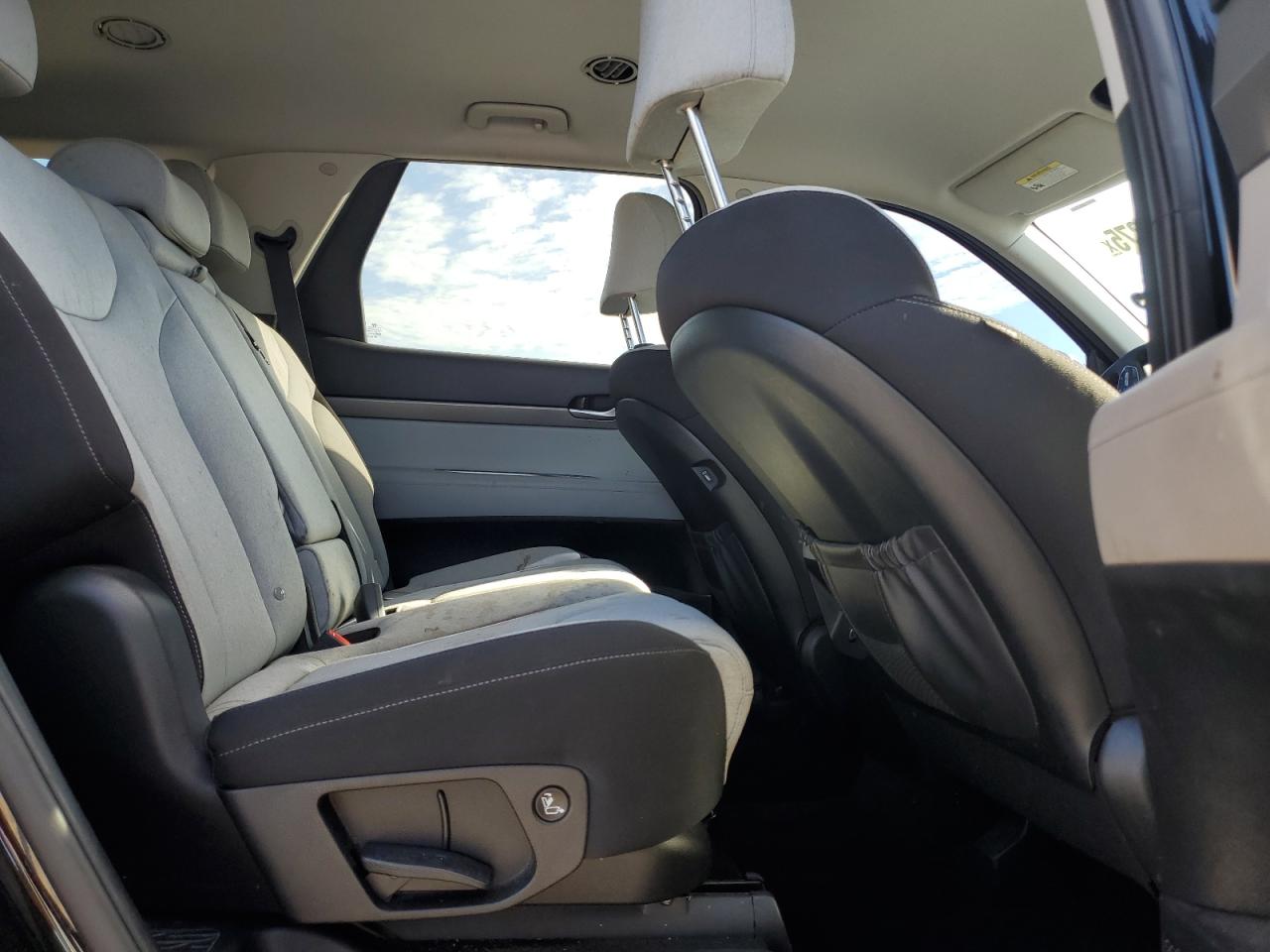 2021 Hyundai Palisade Se VIN: KM8R1DHE6MU275216 Lot: 60052375