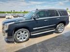 2015 Cadillac Escalade Luxury   de vânzare în Mercedes, TX - Minor Dent/Scratches