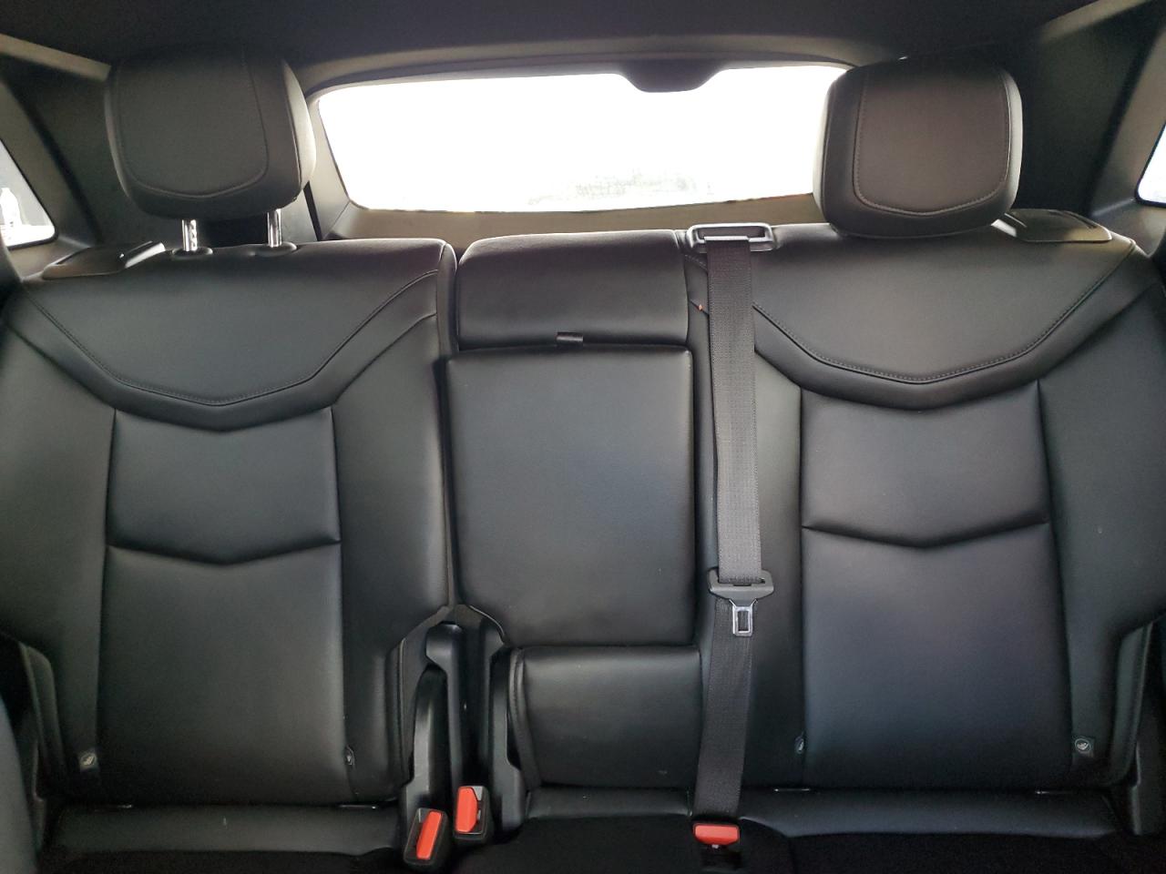 2021 Cadillac Xt5 Luxury VIN: 1GYKNAR49MZ165711 Lot: 62453135