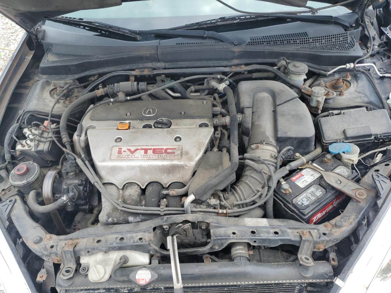 2004 Acura Rsx Type-S VIN: JH4DC530X4S004406 Lot: 62215405