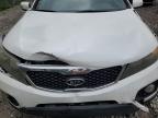 2011 Kia Sorento Ex   zu verkaufen in Cicero, IN - Front End