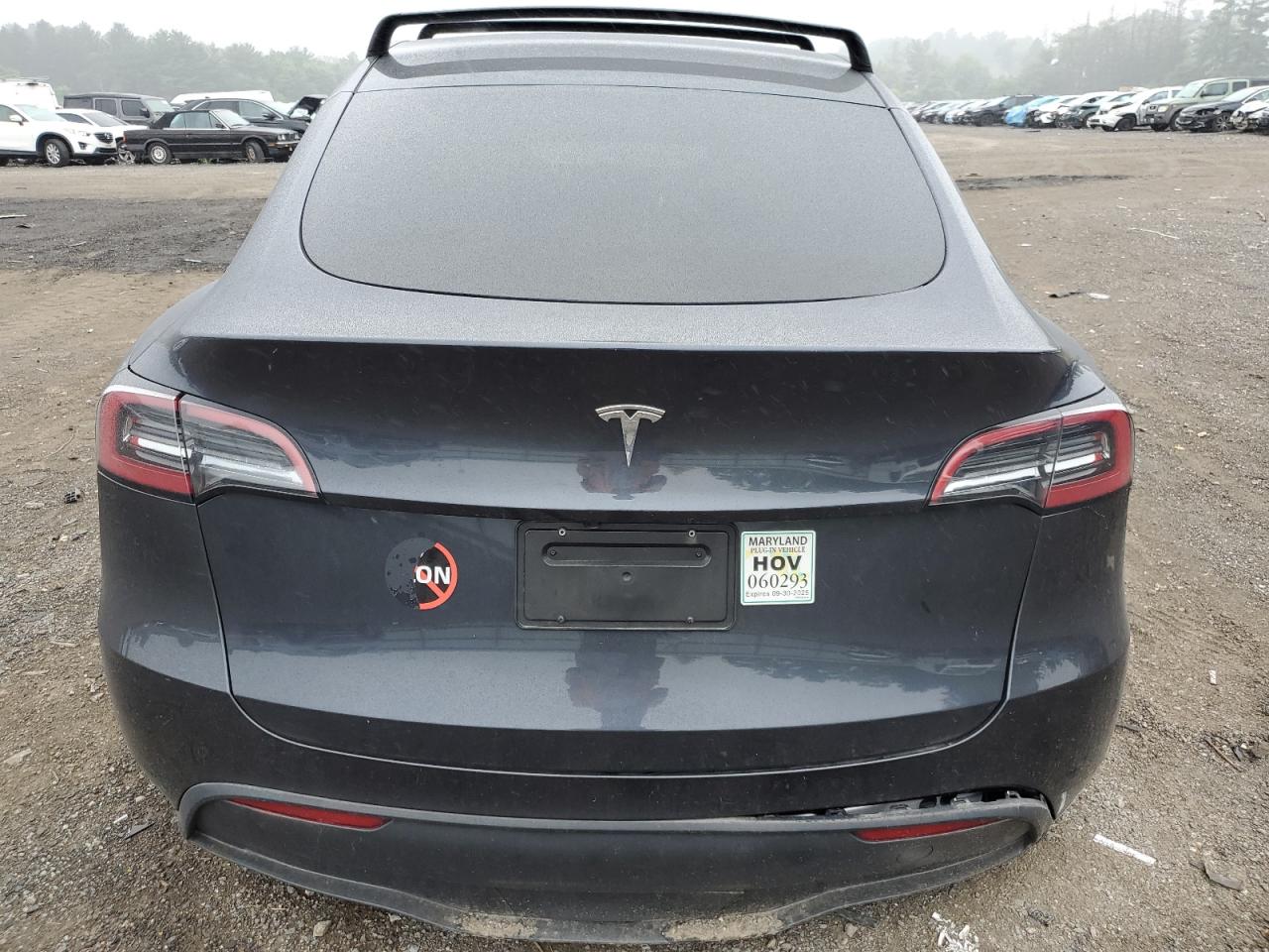 2025 Tesla Model Y VIN: 7SAYGDED8SF227655 Lot: 62335005