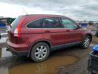 2009 Honda Cr-V Exl for Sale in Brighton, CO - Hail