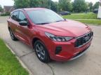 Woodhaven, MI에서 판매 중인 2024 Ford Escape St Line - Minor Dent/Scratches