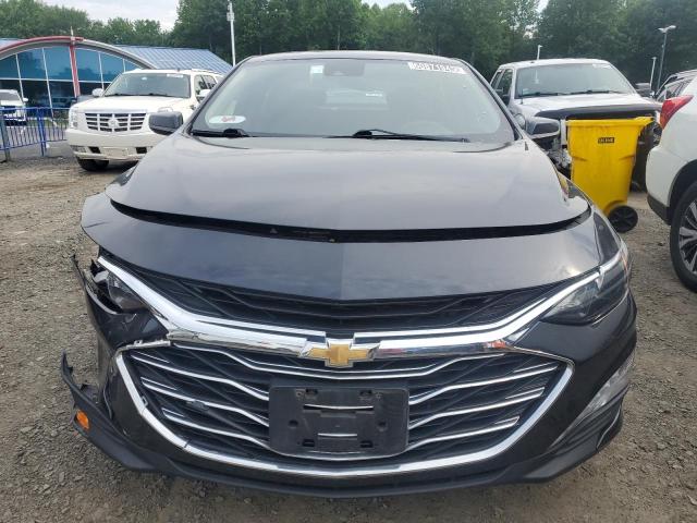  CHEVROLET MALIBU 2023 Gray