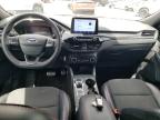 2023 Ford Escape St Line for Sale in Kapolei, HI - Rear End