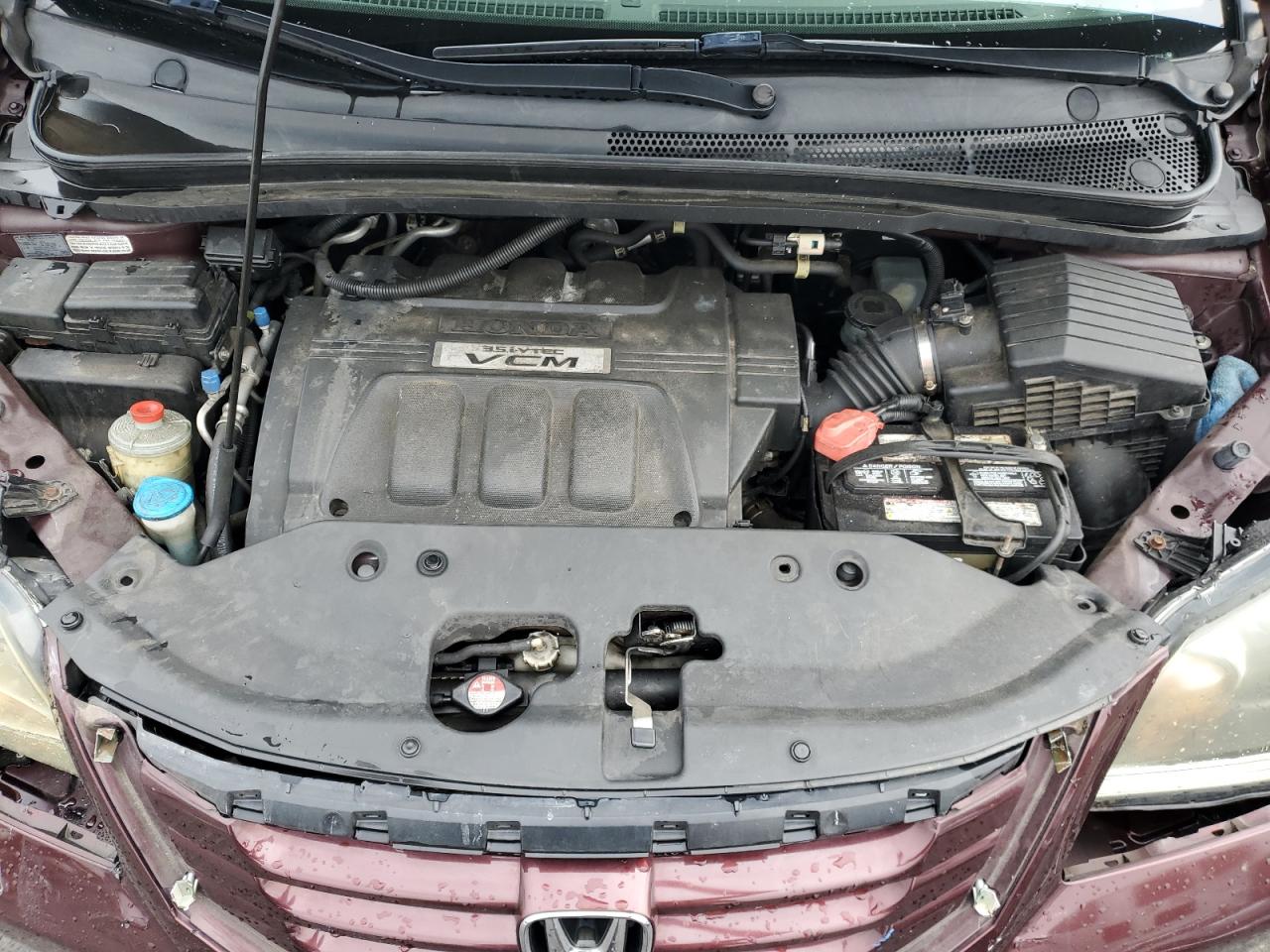2010 Honda Odyssey Exl VIN: 5FNRL3H75AB105623 Lot: 62503875