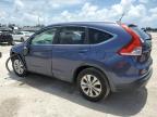 2013 Honda Cr-V Exl на продаже в West Palm Beach, FL - All Over