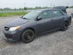 2012 TOYOTA COROLLA BASE   à vendre chez Copart ON - OTTAWA