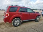 2010 Ford Escape Xlt for Sale in Temple, TX - Front End
