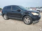 2011 Honda Cr-V Exl   за продажба в West Palm Beach, FL - Front End