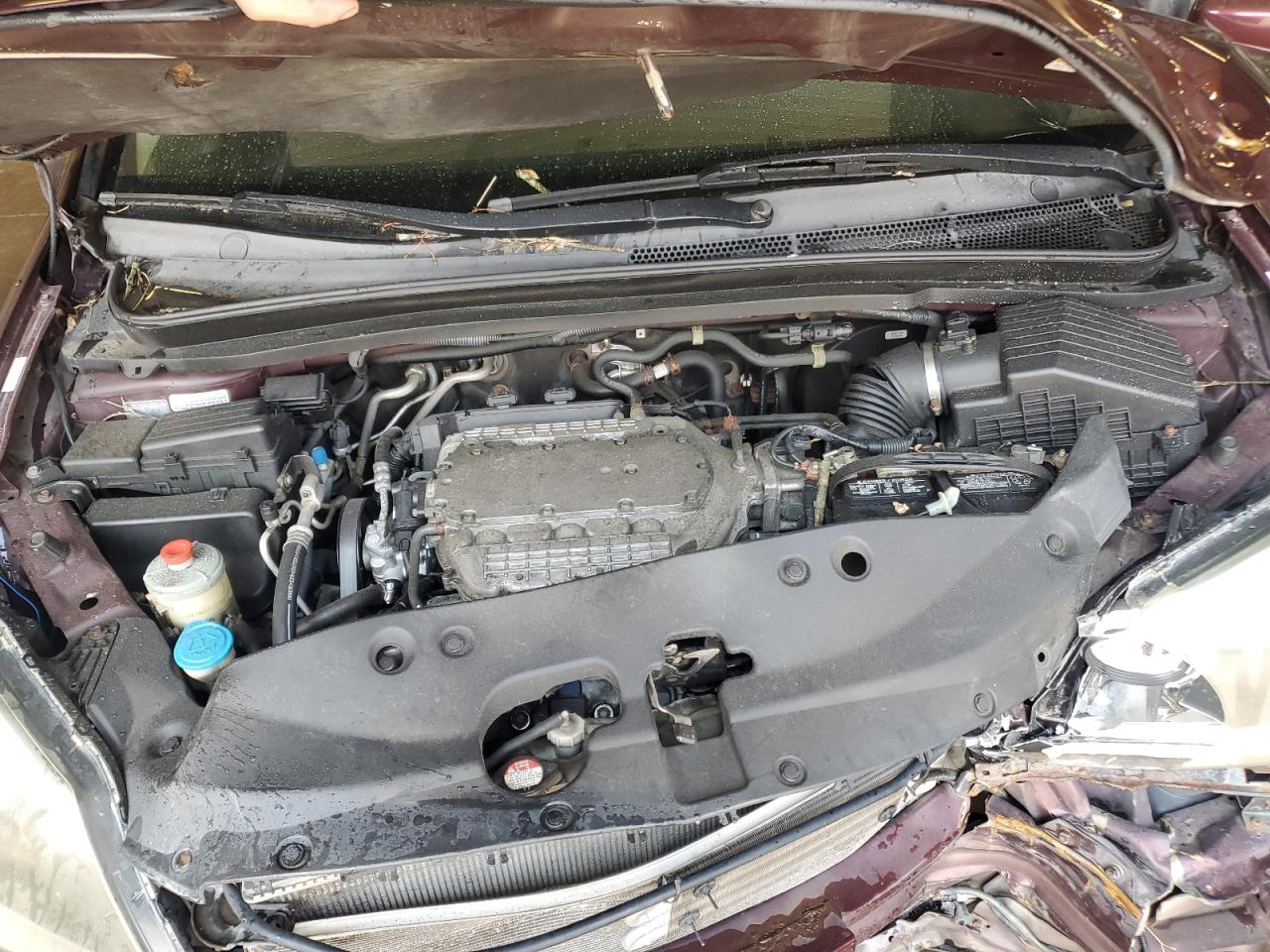 HONDA All Models 2007 VIN 5FNRL38707B453788 photo 12