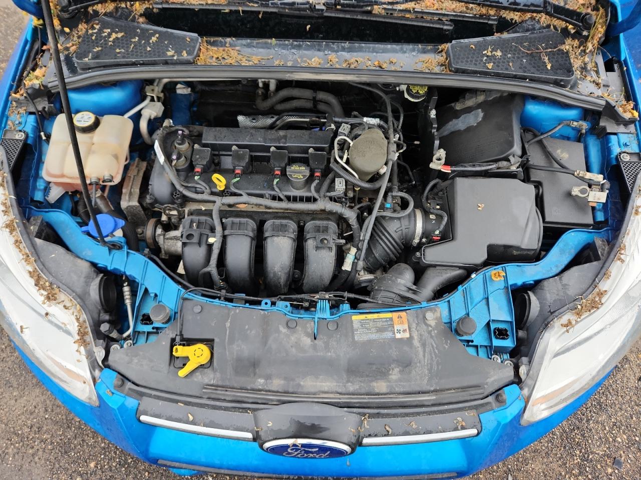 2013 Ford Focus Se VIN: 1FADP3F29DL364001 Lot: 61777615