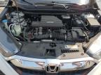 2019 Honda Cr-V Exl на продаже в Fredericksburg, VA - Side