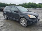 2008 Honda Cr-V Ex   zu verkaufen in Marlboro, NY - Normal Wear