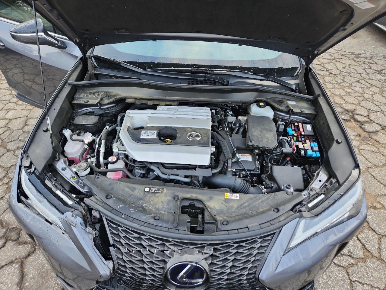 2021 Lexus Ux 250H VIN: JTHR9JBH6M2041702 Lot: 61157525
