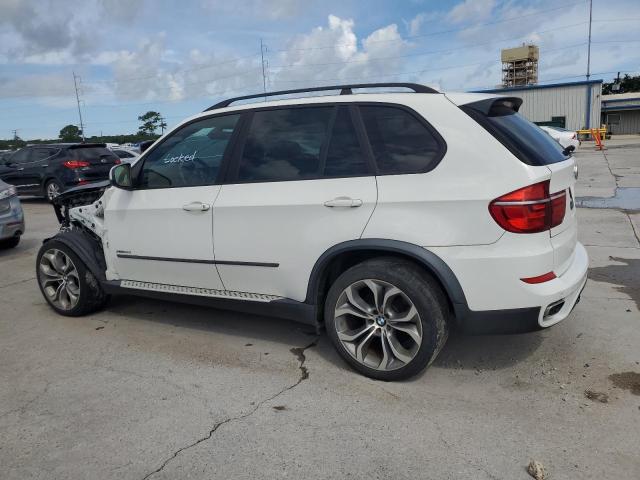 Паркетники BMW X5 2013 Белы