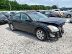 2004 Nissan Maxima Se for Sale in Memphis, TN - Front End