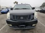 2009 Cadillac Escalade Esv Luxury   for Sale in Van Nuys, CA - Front End