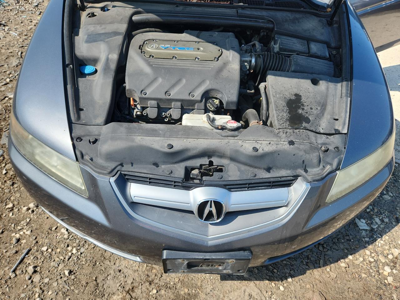 2006 Acura 3.2Tl VIN: 19UUA66286A032533 Lot: 62756465