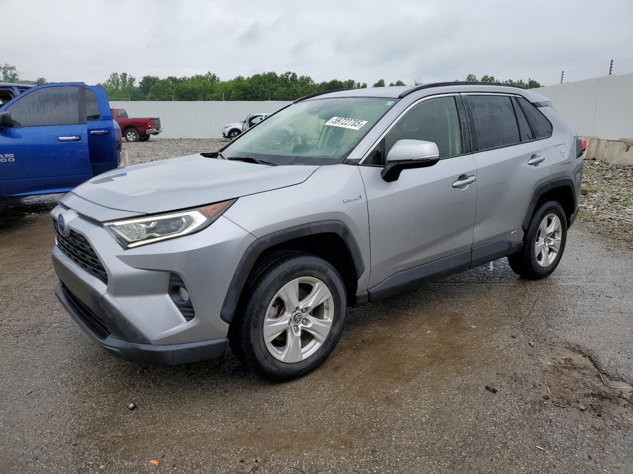 2019 Toyota Rav4 Xle for Sale in Louisville, KY - Side