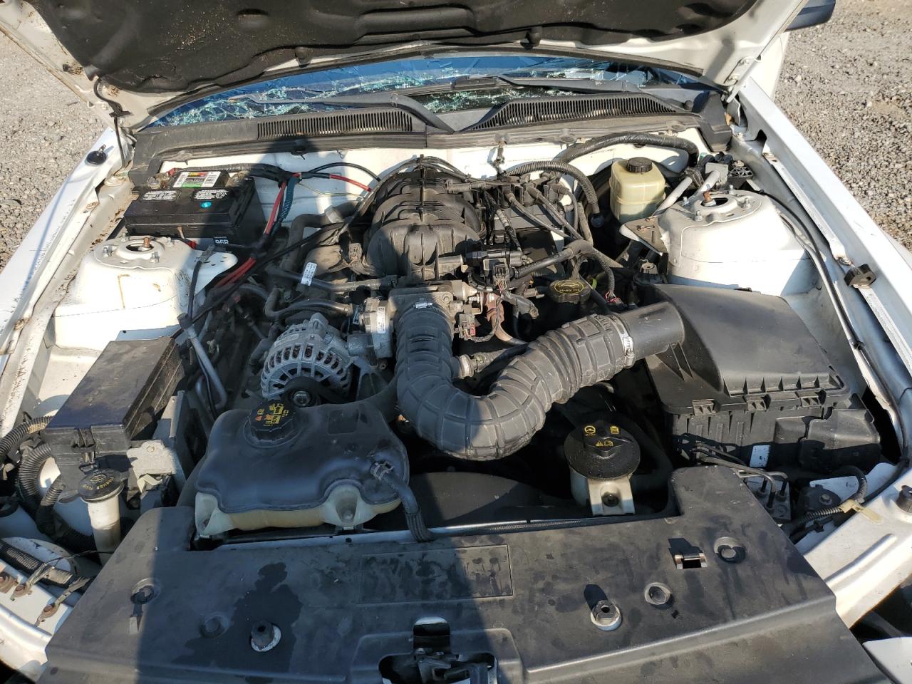 2006 Ford Mustang VIN: 1ZVFT80NX65180060 Lot: 62025735