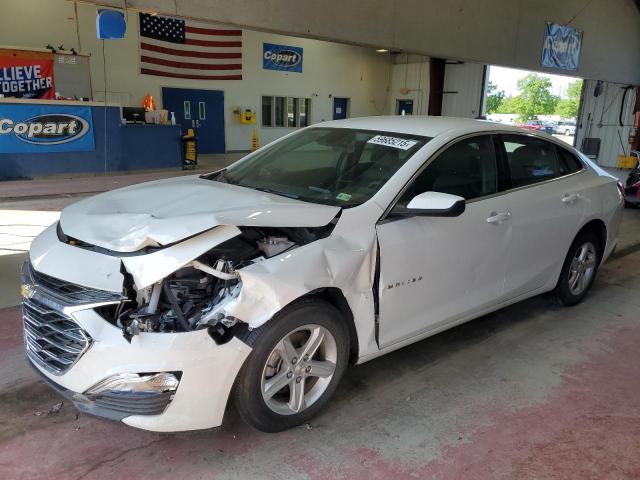 CHEVROLET MALIBU LS 2024