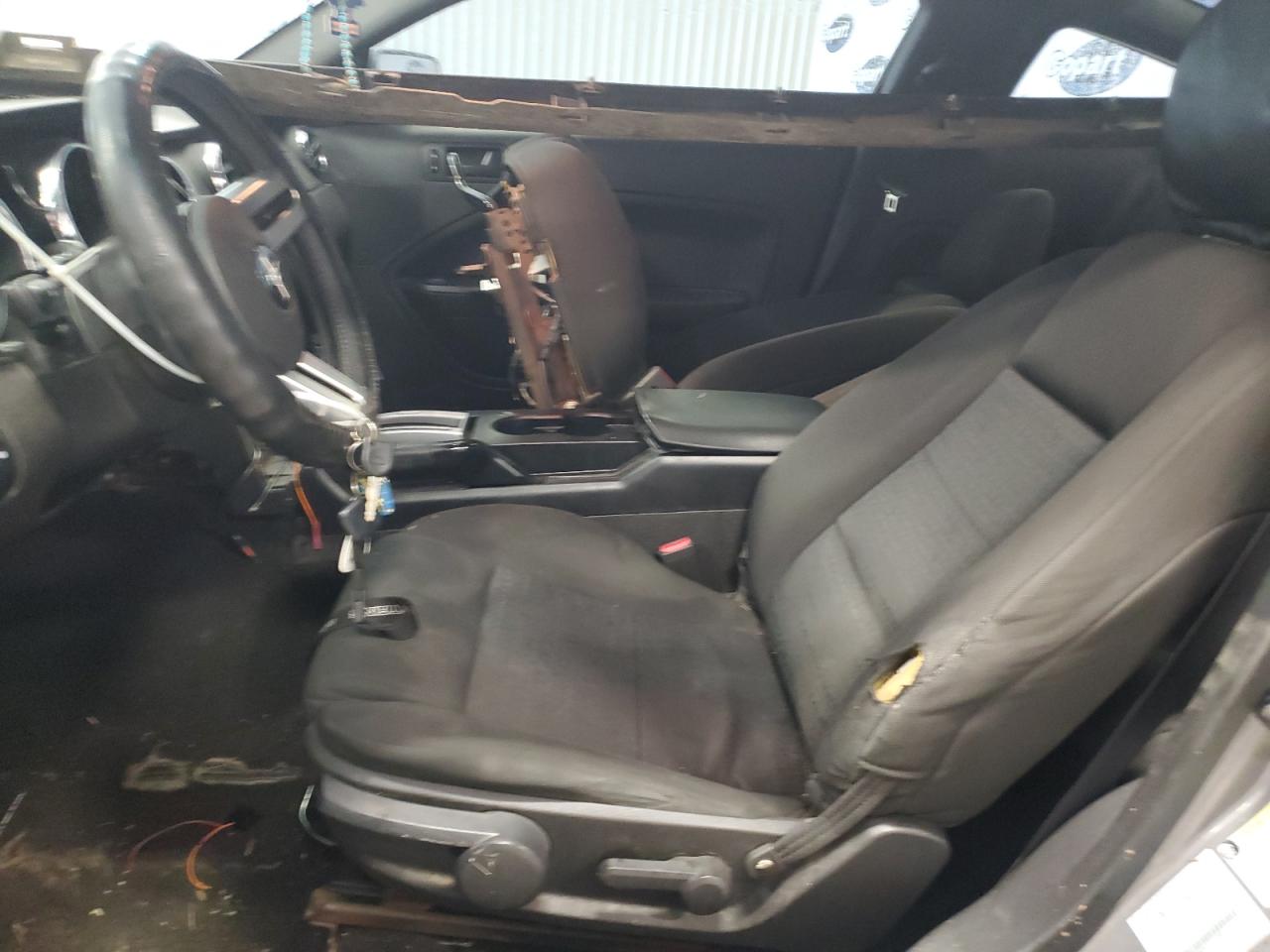 2006 Ford Mustang VIN: 1ZVFT80N265118801 Lot: 59099975