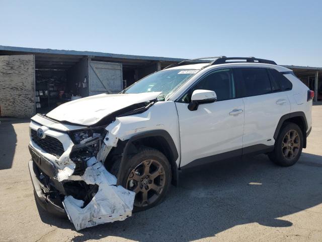 TOYOTA RAV4 WOODL 2023