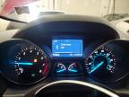 2014 Ford Escape Se للبيع في Franklin، WI - Hail