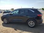 2022 FORD ESCAPE SE   à vendre chez Copart ON - LONDON