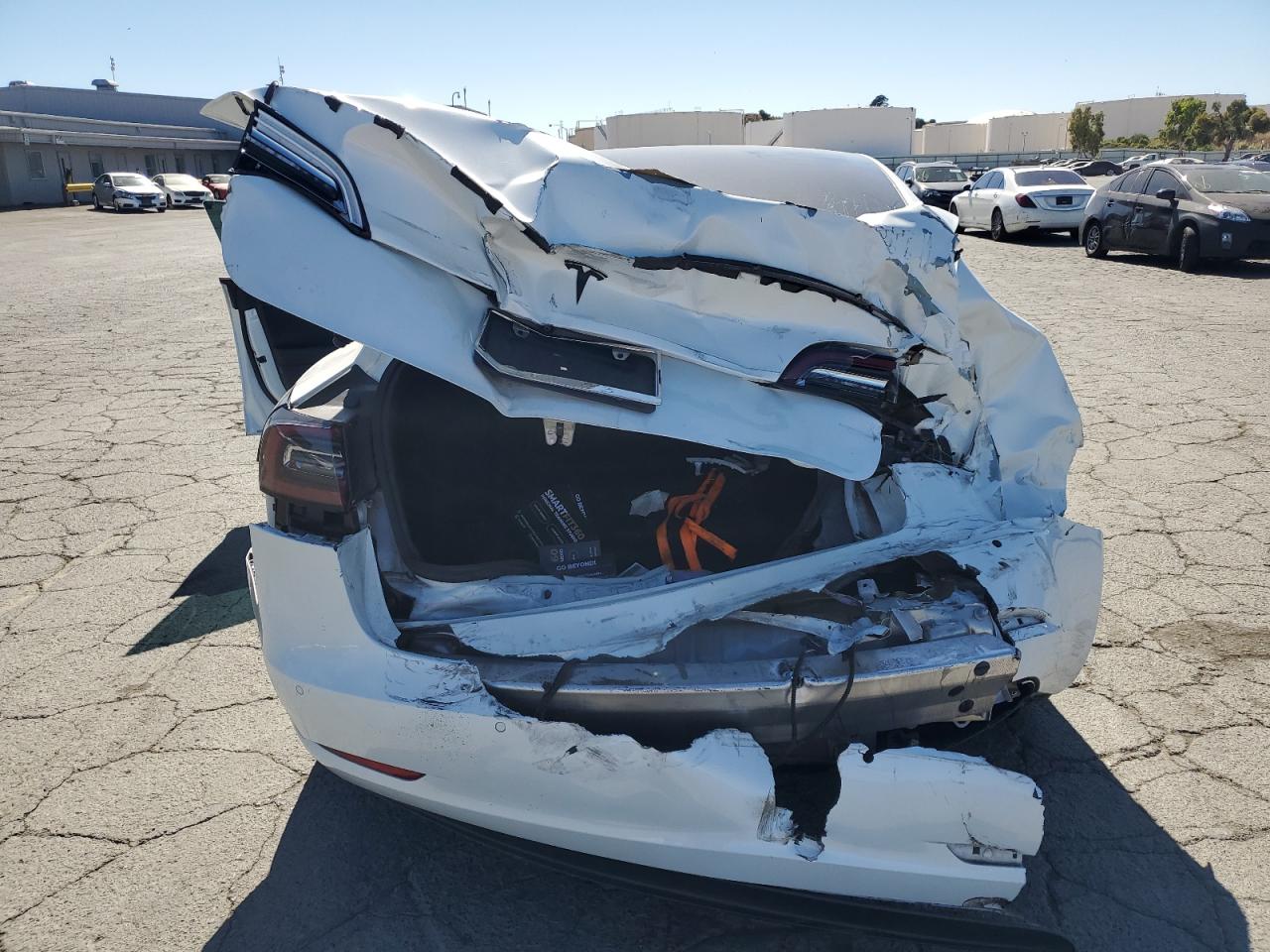 2019 Tesla Model 3 VIN: 5YJ3E1EA8KF407557 Lot: 61616035