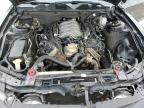 2012 Ford Mustang Gt zu verkaufen in Bridgeton, MO - Hail