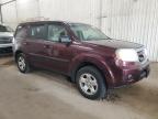 2011 Honda Pilot Lx   zu verkaufen in Ham Lake, MN - Hail