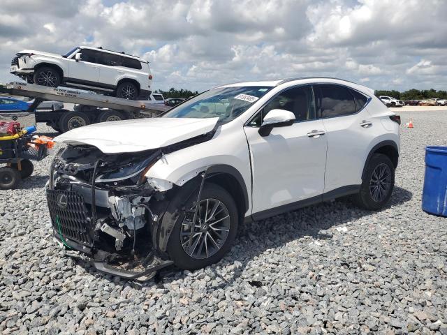  LEXUS NX 250 2022 Biały