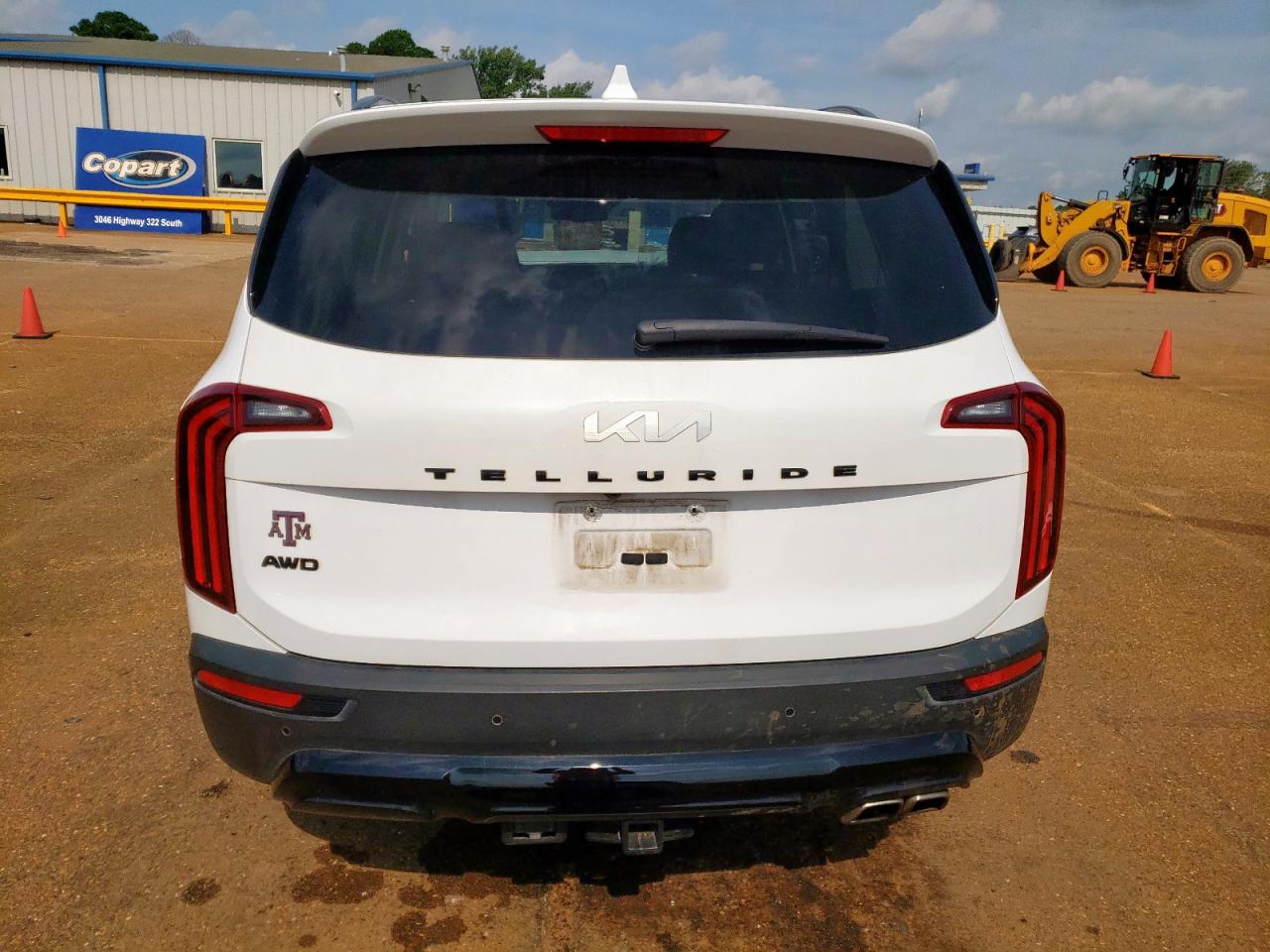 2022 Kia Telluride Ex VIN: 5XYP3DHC1NG318982 Lot: 59152325