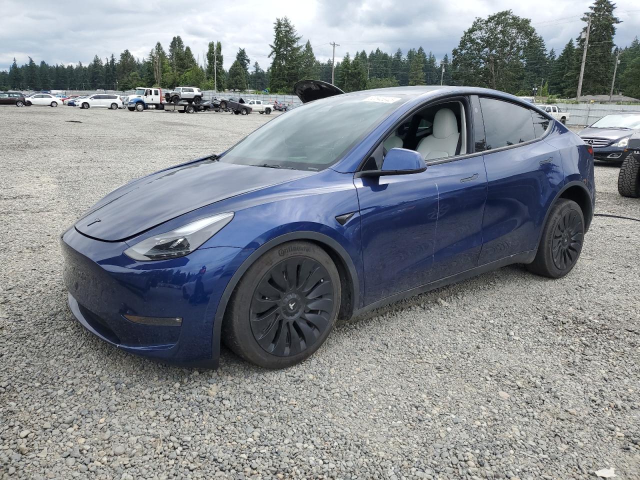 TESLA MODEL Y 2023 VIN 7SAYGDEE3PF811896