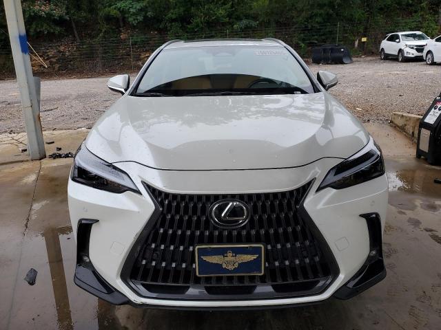  LEXUS NX 350 2023 Biały