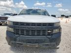 2020 CHEVROLET SILVERADO K1500 à vendre chez Copart TX - WACO