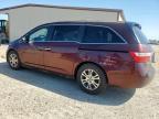 2012 Honda Odyssey Exl   de vânzare în Temple, TX - Front End